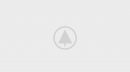 wood-gallery-placeholder-2
